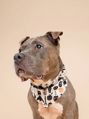 The-Paws-bandana-pour-chien-Hallows-Eve-Halloween