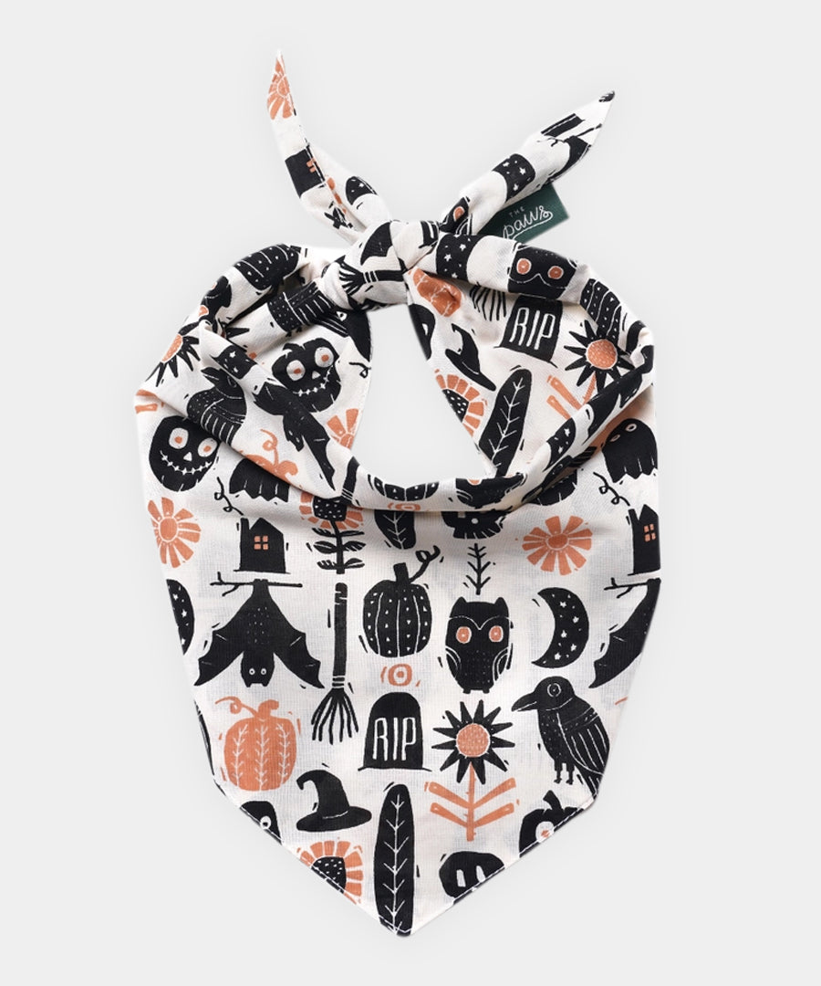 The-Paws-bandana-pour-chien-Hallows-Eve-Halloween