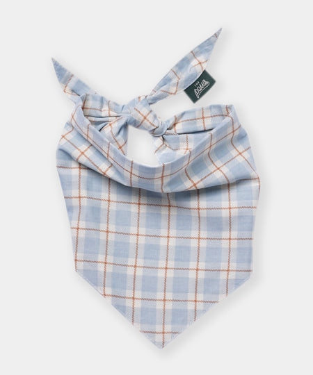 The-Paws-bandana-pour-chien-Harlowe