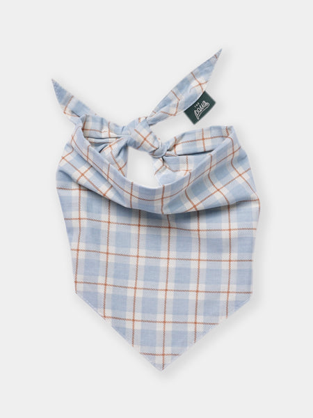 The-Paws-bandana-pour-chien-Harlowe