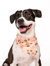     The-Paws-bandana-pour-chien-Hickory