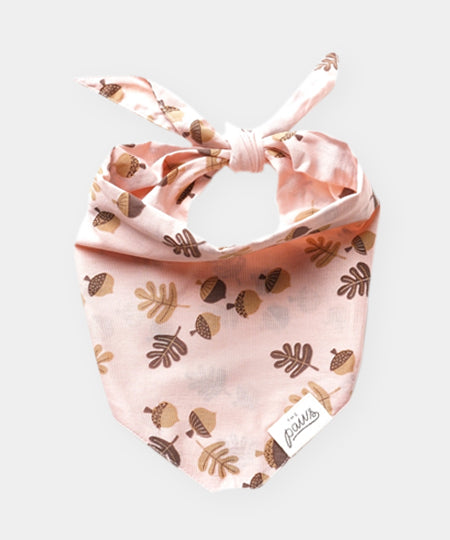     The-Paws-bandana-pour-chien-Hickory