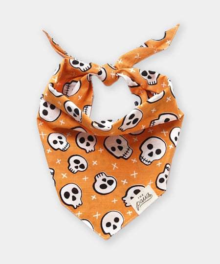 The-Paws-bandana-pour-chien-Hook-Halloween