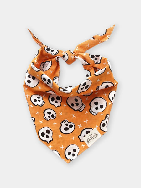 The-Paws-bandana-pour-chien-Hook-Halloween