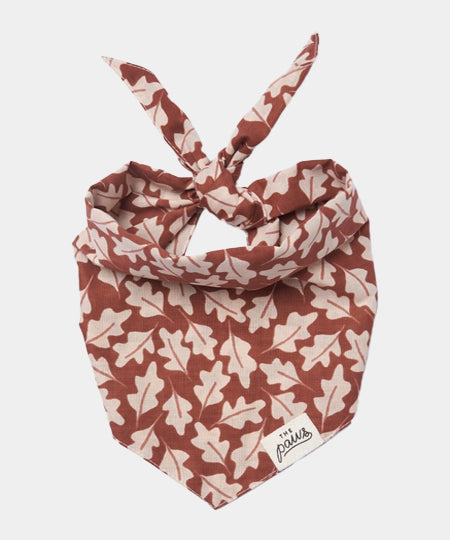 The-Paws-bandana-pour-chien-Hudson-Fall