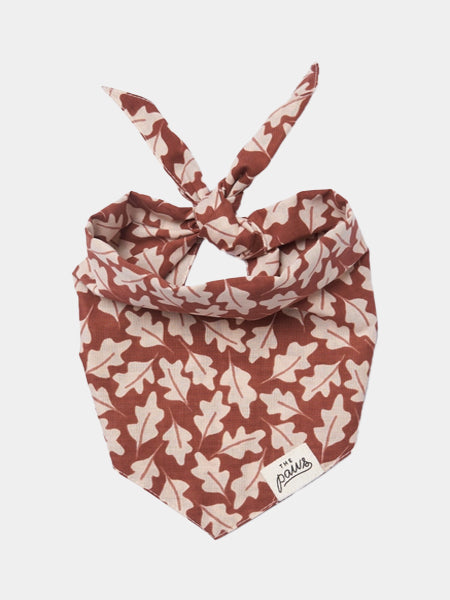 The-Paws-bandana-pour-chien-Hudson-Fall