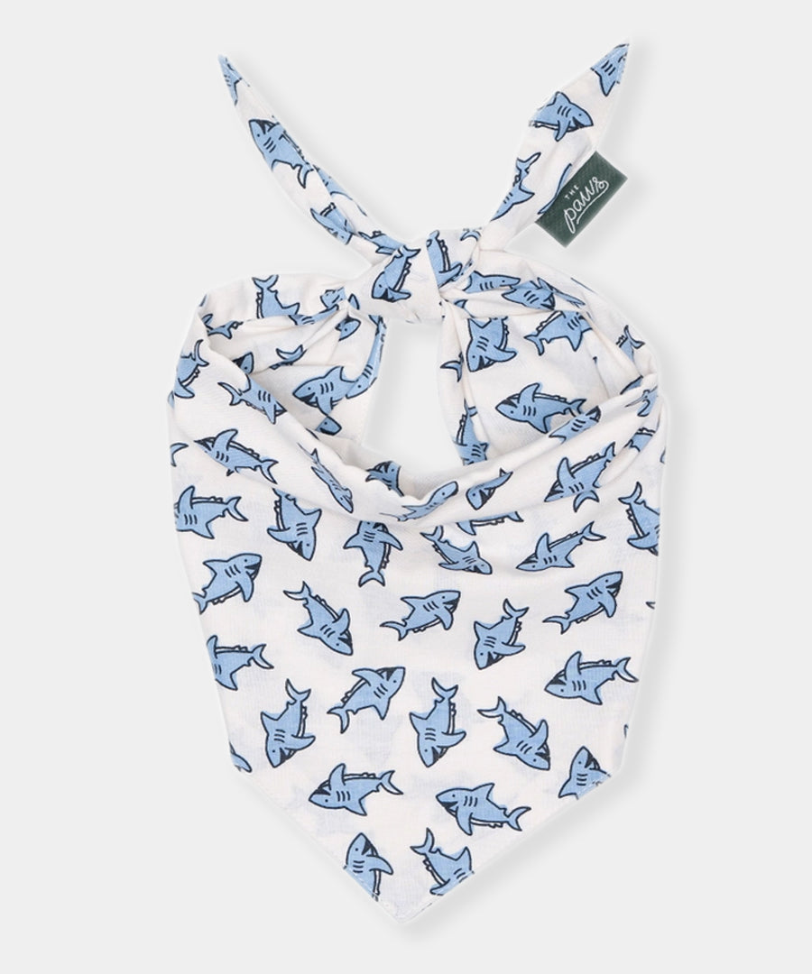 The-Paws-bandana-pour-chien-Jawz