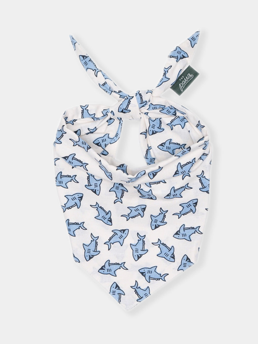 The-Paws-bandana-pour-chien-Jawz