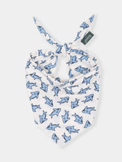 The-Paws-bandana-pour-chien-Jawz