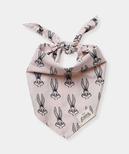     The-Paws-bandana-pour-chien-LAPIN-BUNNY