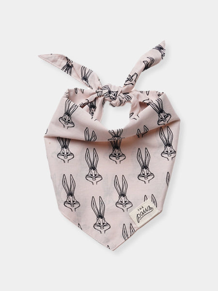     The-Paws-bandana-pour-chien-LAPIN-BUNNY