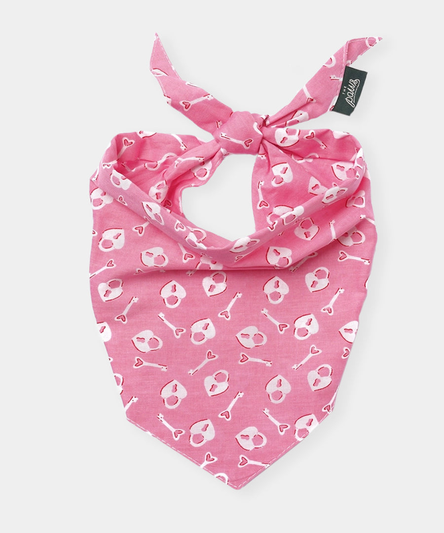 The-Paws-bandana-pour-chien-Love-Lock