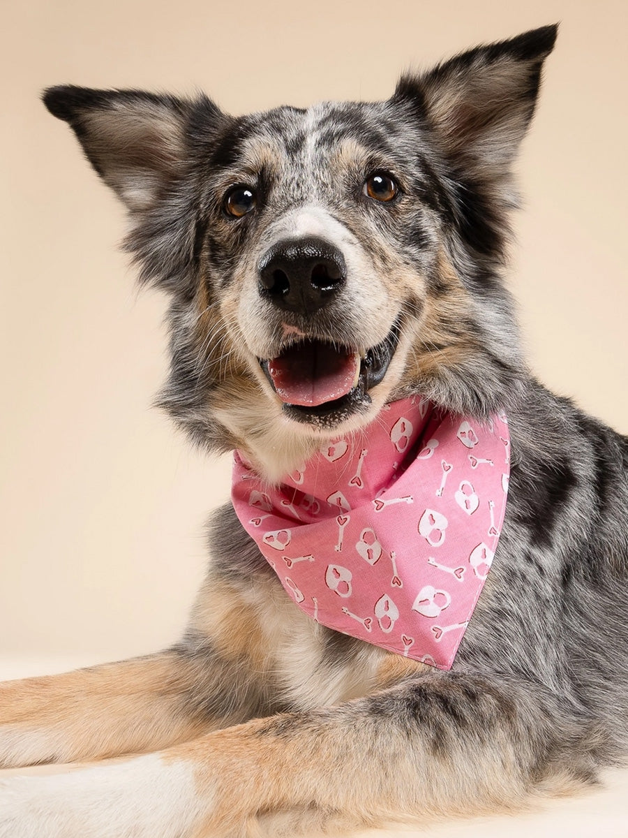 The-Paws-bandana-pour-chien-Love-Lock