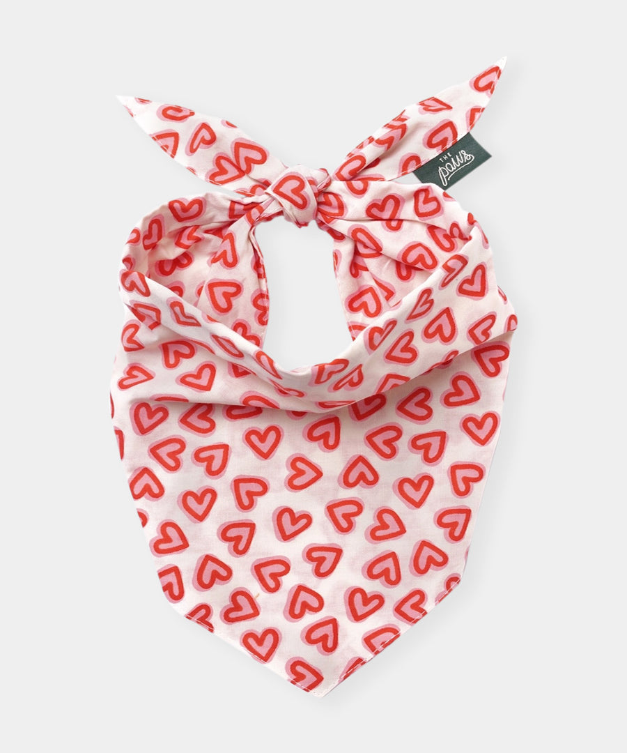 The-Paws-bandana-pour-chien-Lover