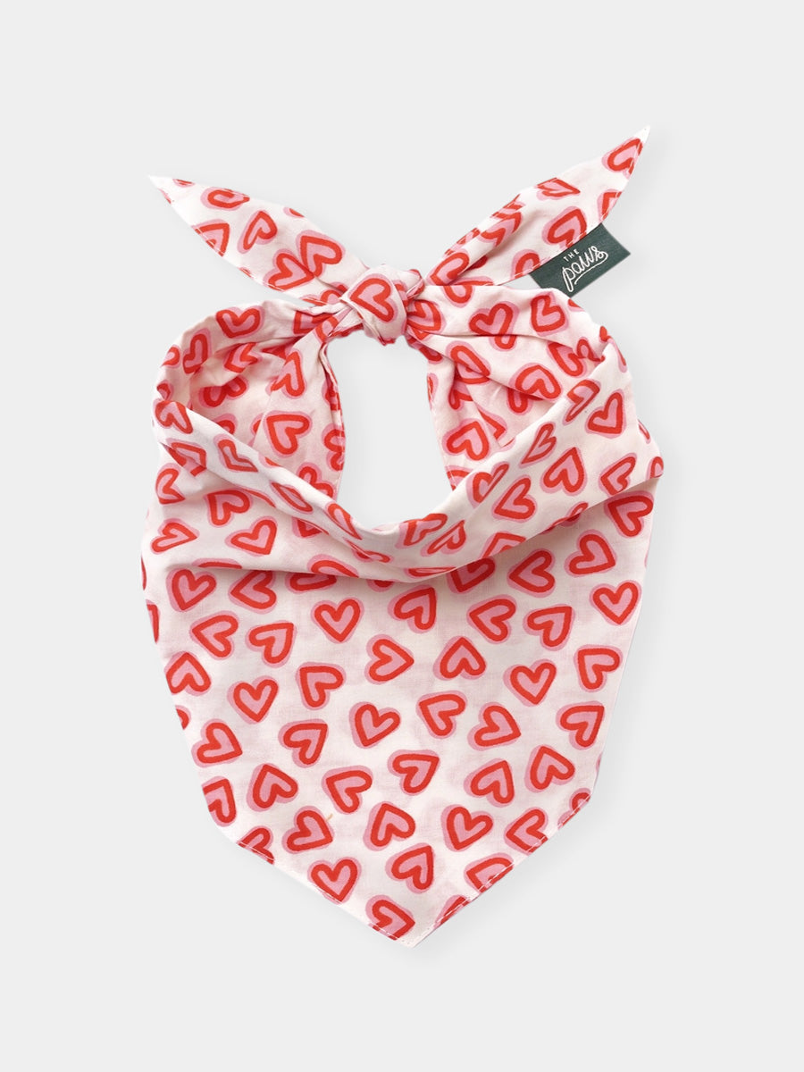 The-Paws-bandana-pour-chien-Lover