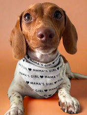 The-Paws-bandana-pour-chien-Mama_s-girl