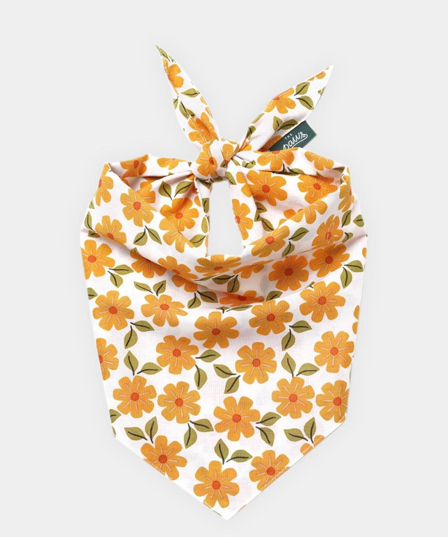 The-Paws-bandana-pour-chien-Marigold