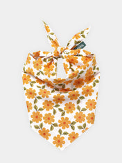 The-Paws-bandana-pour-chien-Marigold