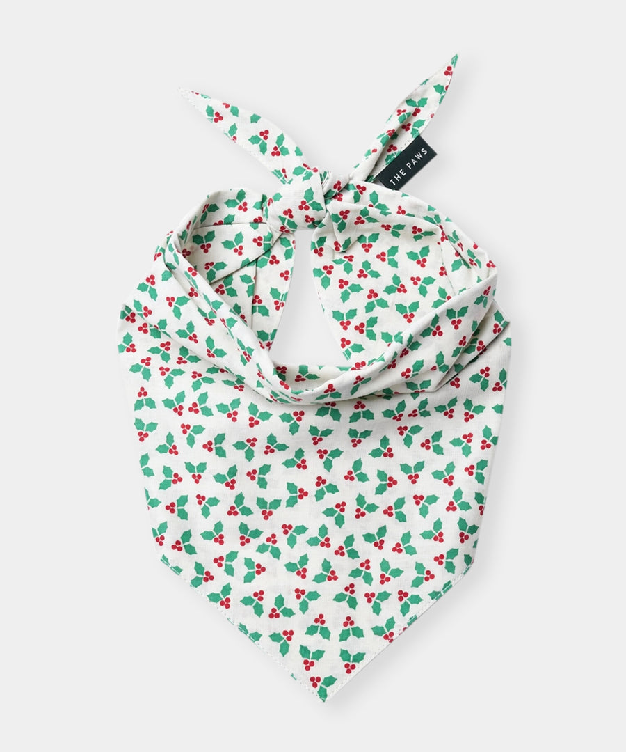 The-Paws-bandana-pour-chien-Merry