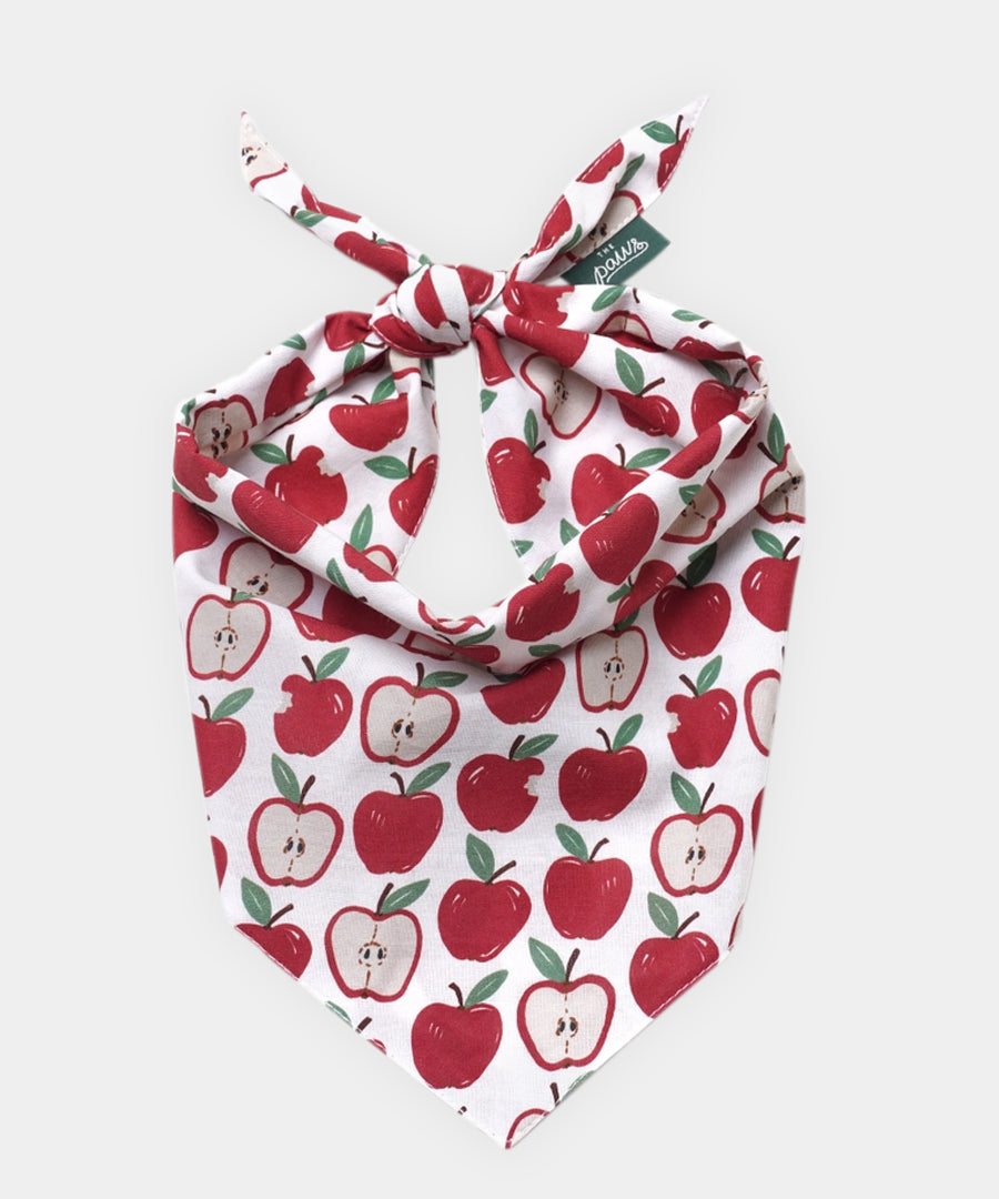 The-Paws-bandana-pour-chien-Orchard