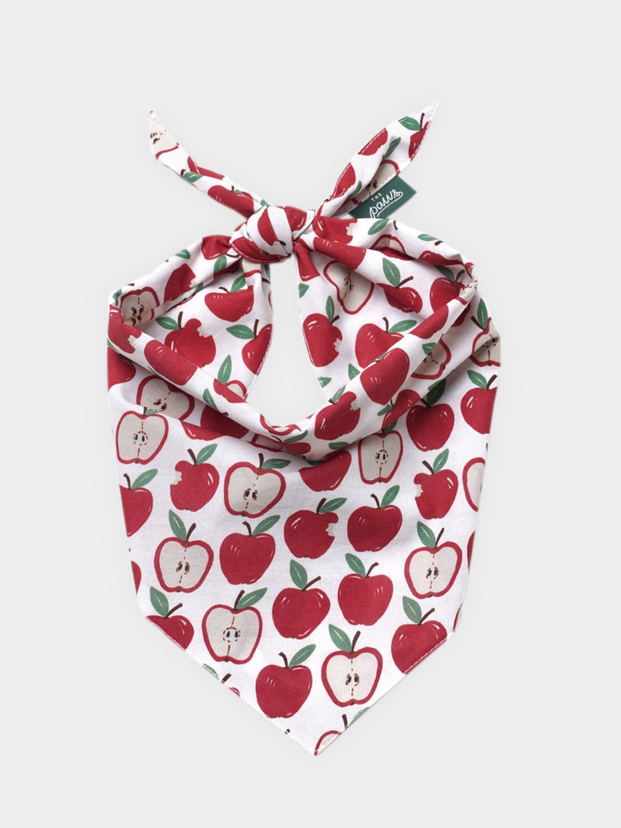 The-Paws-bandana-pour-chien-Orchard
