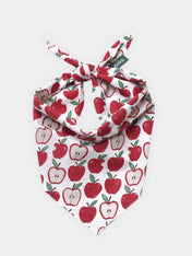 The-Paws-bandana-pour-chien-Orchard