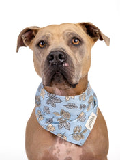     The-Paws-bandana-pour-chien-Parkway