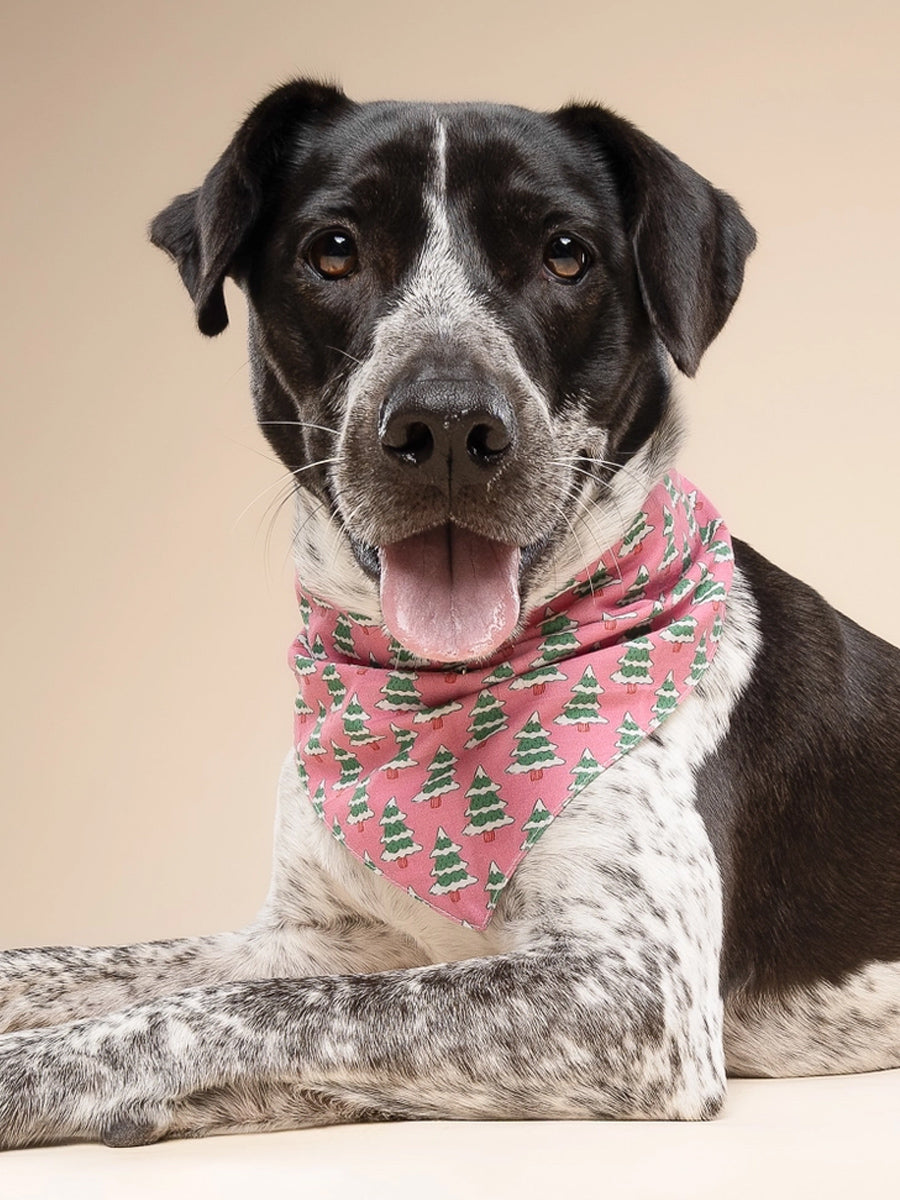 The-Paws-bandana-pour-chien-Pink-Alpine