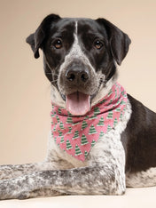 The-Paws-bandana-pour-chien-Pink-Alpine