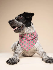 The-Paws-bandana-pour-chien-Pink-Alpine