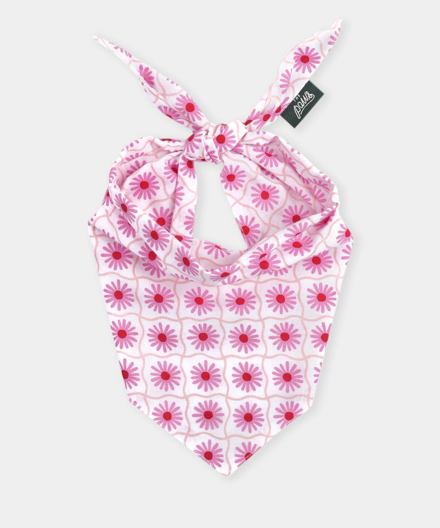 The-Paws-bandana-pour-chien-Poppy-rose