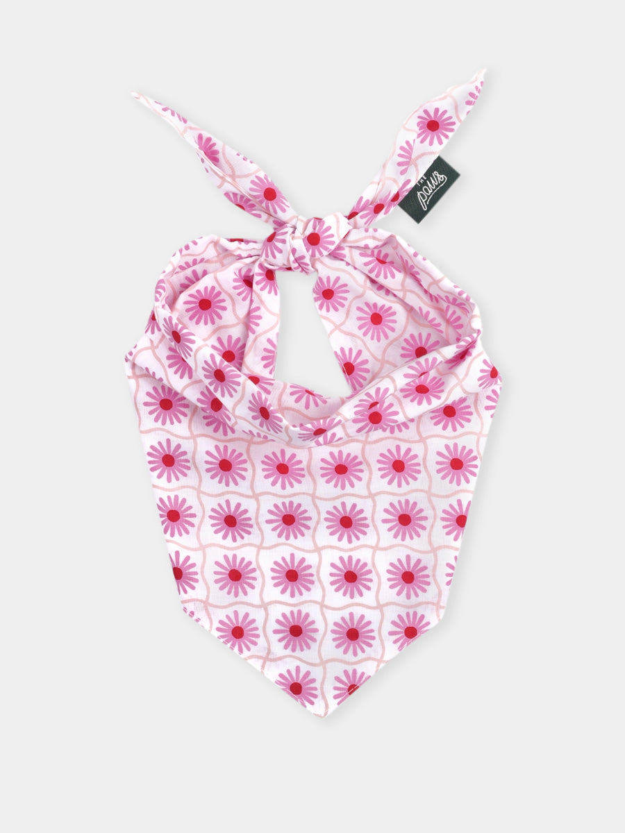 The-Paws-bandana-pour-chien-Poppy-rose