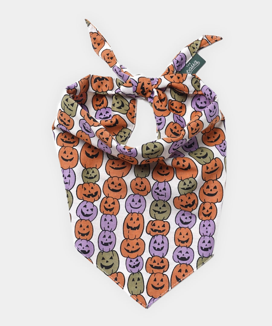 The-Paws-bandana-pour-chien-Pumpkin-Patch-Halloween