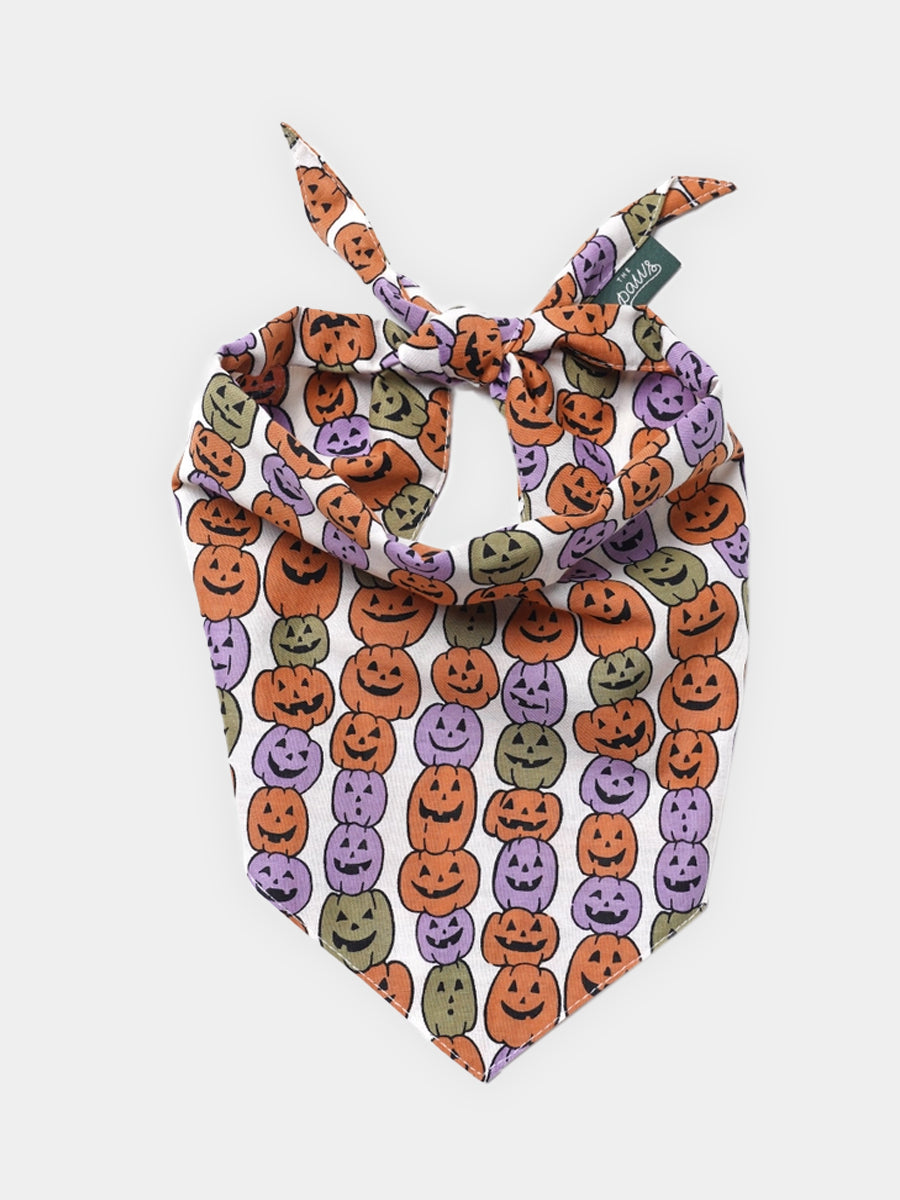 The-Paws-bandana-pour-chien-Pumpkin-Patch-Halloween