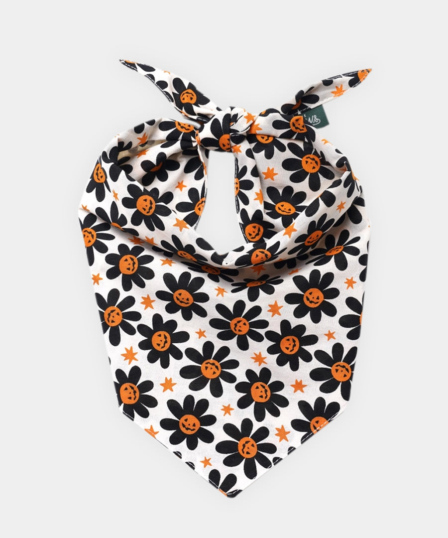 The-Paws-bandana-pour-chien-Pumpkin-Petals-Halloween