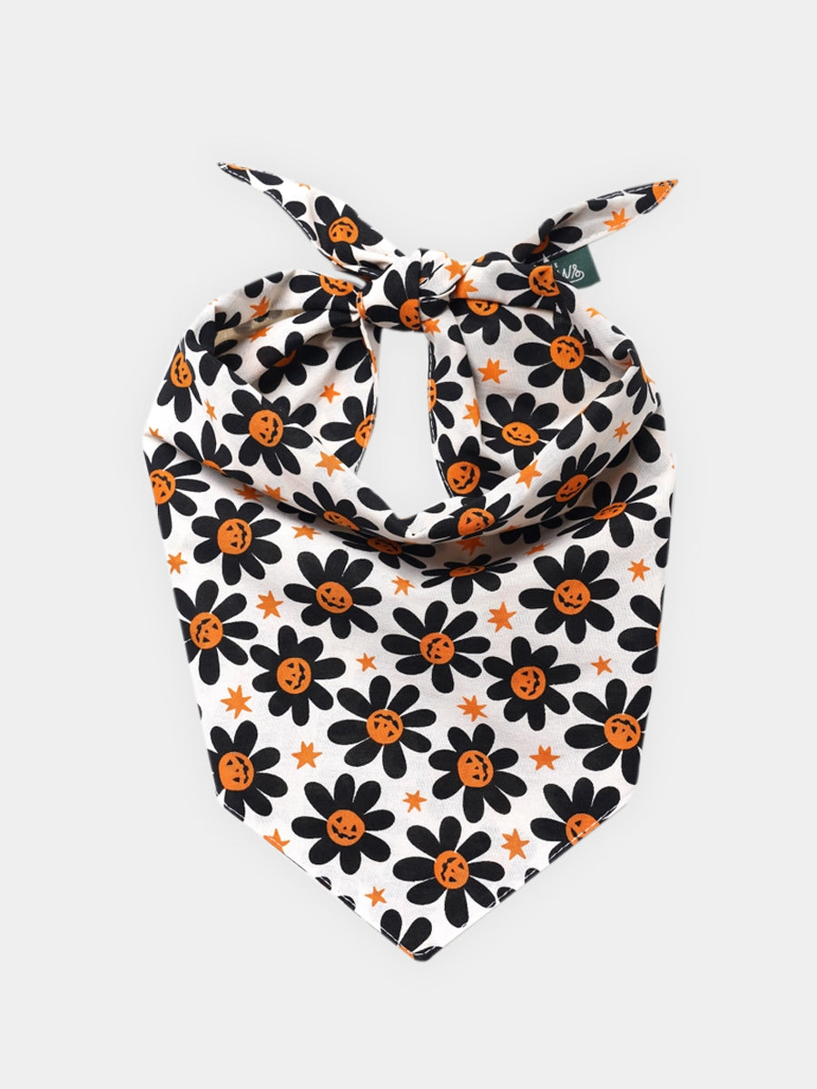 The-Paws-bandana-pour-chien-Pumpkin-Petals-Halloween