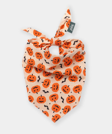 The-Paws-bandana-pour-chien-Pupkin