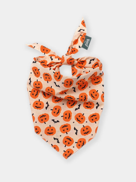 The-Paws-bandana-pour-chien-Pupkin