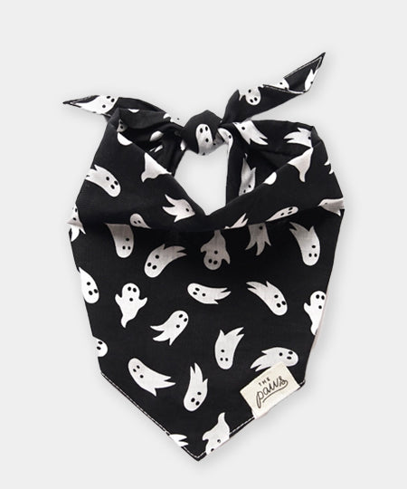 The-Paws-bandana-pour-chien-Shadow-Halloween