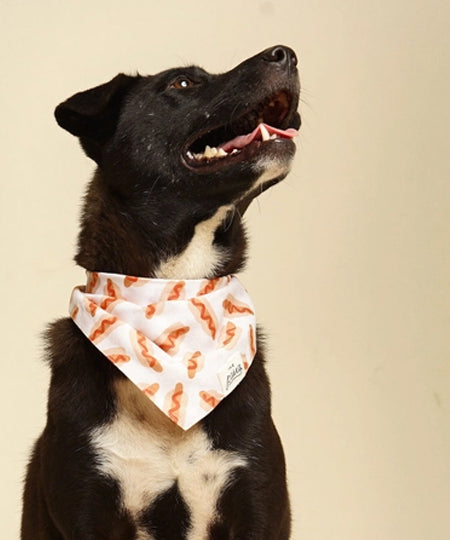 The-Paws-bandana-pour-chien-Sizzle-Hotdog