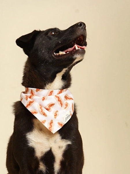 The-Paws-bandana-pour-chien-Sizzle-Hotdog