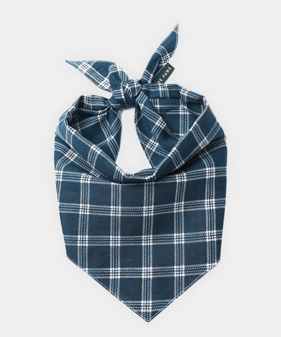 The-Paws-bandana-pour-chien-Slate-Plaid