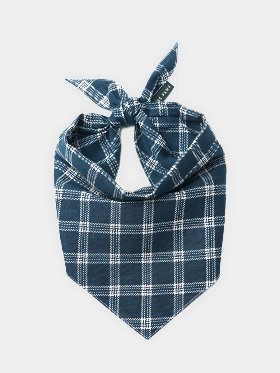 The-Paws-bandana-pour-chien-Slate-Plaid