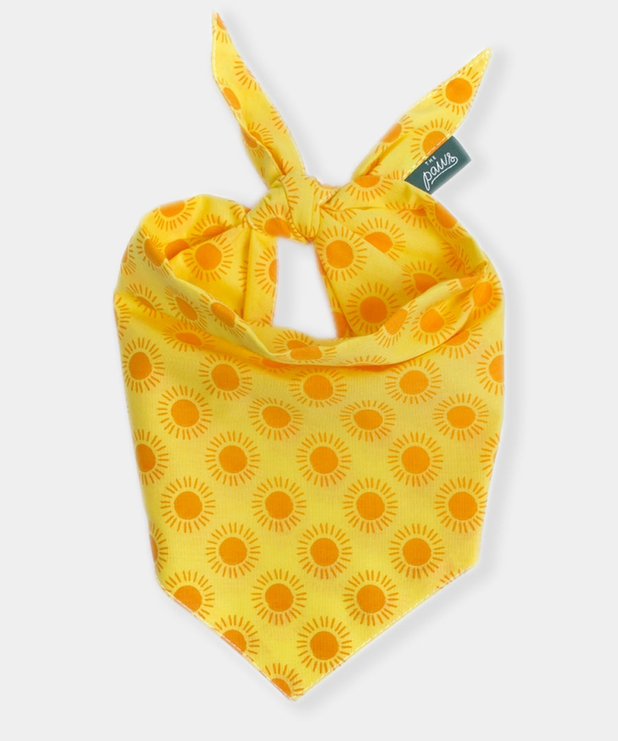 The-Paws-bandana-pour-chien-Sol