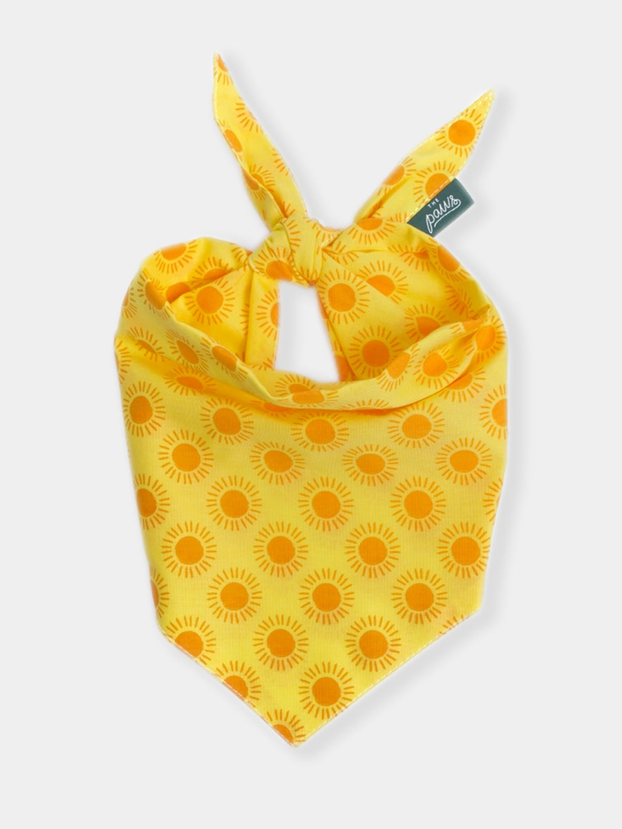 The-Paws-bandana-pour-chien-Sol