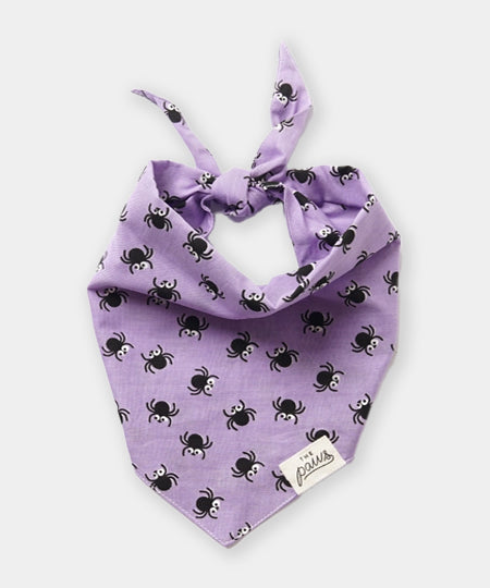 The-Paws-bandana-pour-chien-Spiders-Halloween