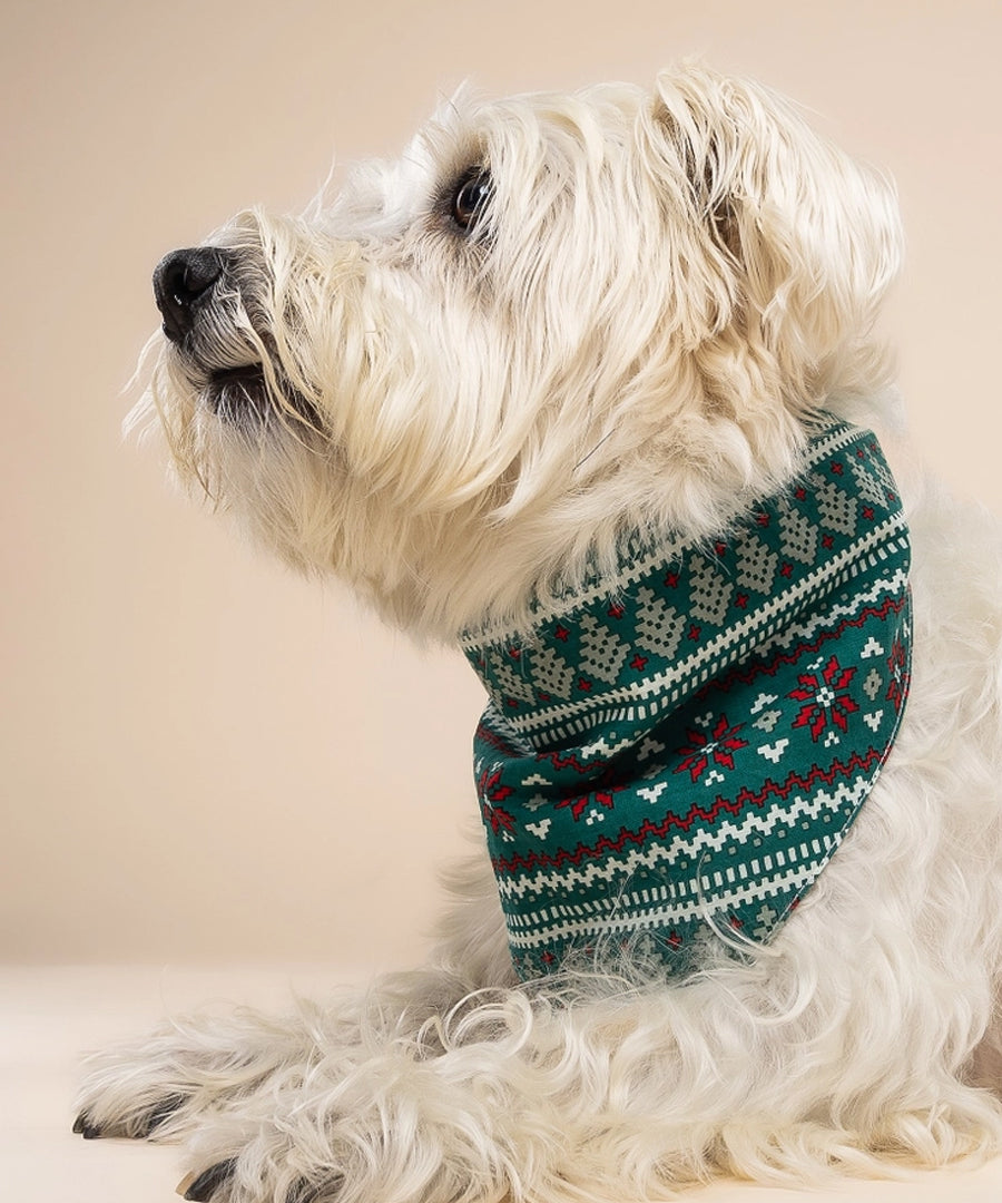 The-Paws-bandana-pour-chien-Ugly-Sweater
