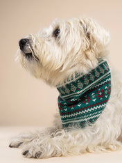 The-Paws-bandana-pour-chien-Ugly-Sweater