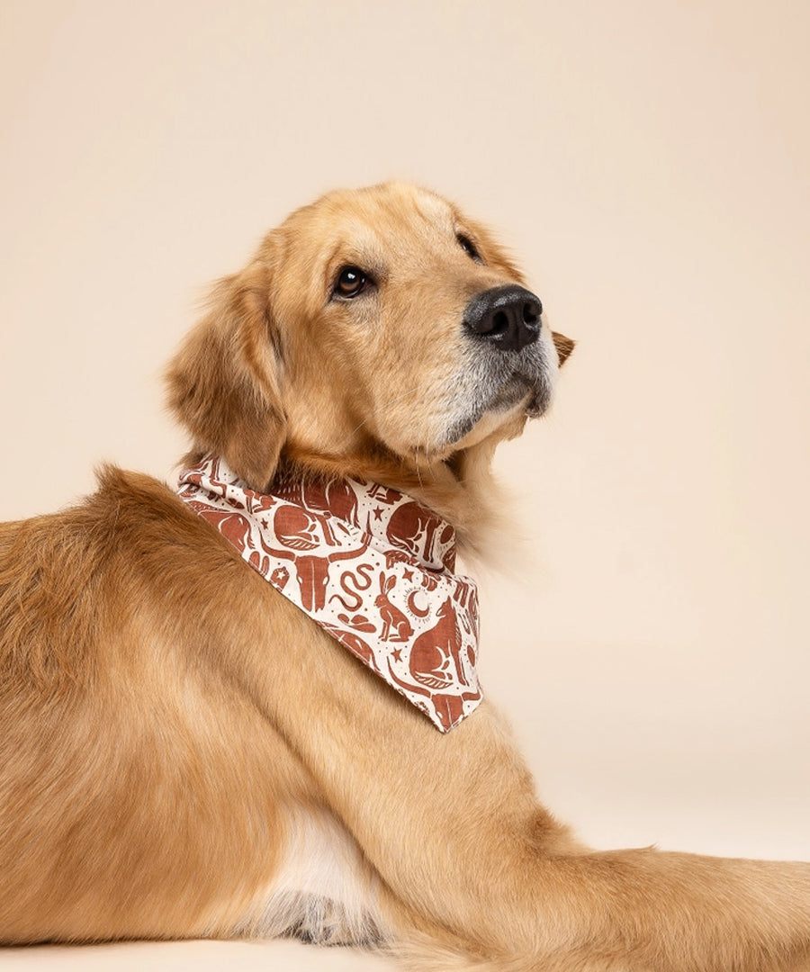 The-Paws-bandana-pour-chien-Western-Wild