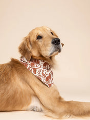 The-Paws-bandana-pour-chien-Western-Wild